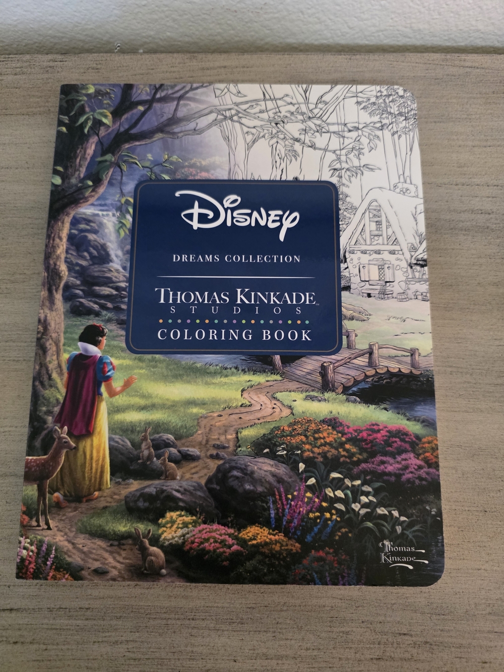 Disney Thomas Kinkade Dreams Collection Coloring Book Multicolor